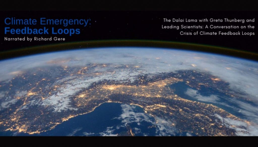 Climate Emergency: Feedback Loops