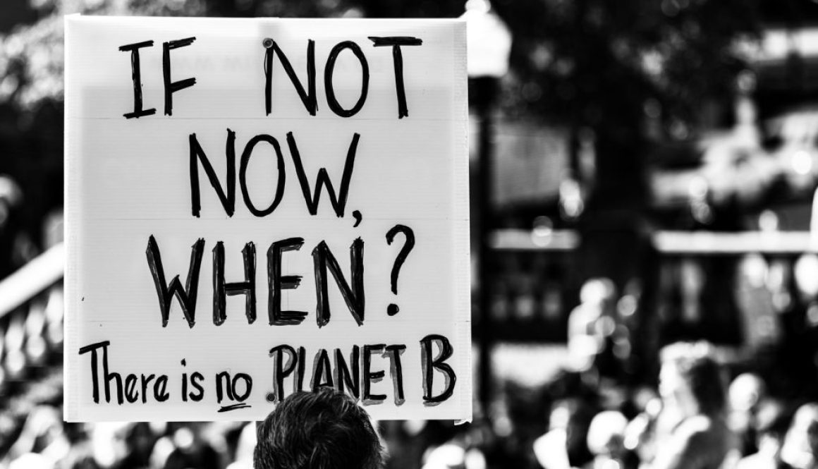 if not now, when there is no planet B