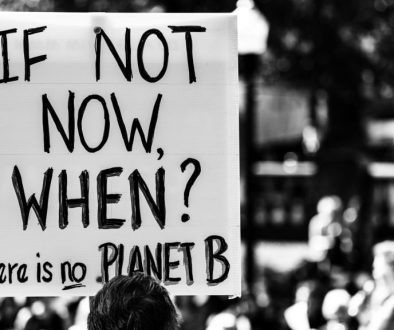 if not now, when there is no planet B